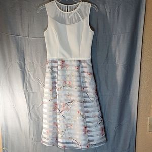 Ted Baker London White and Floral Midi Dress